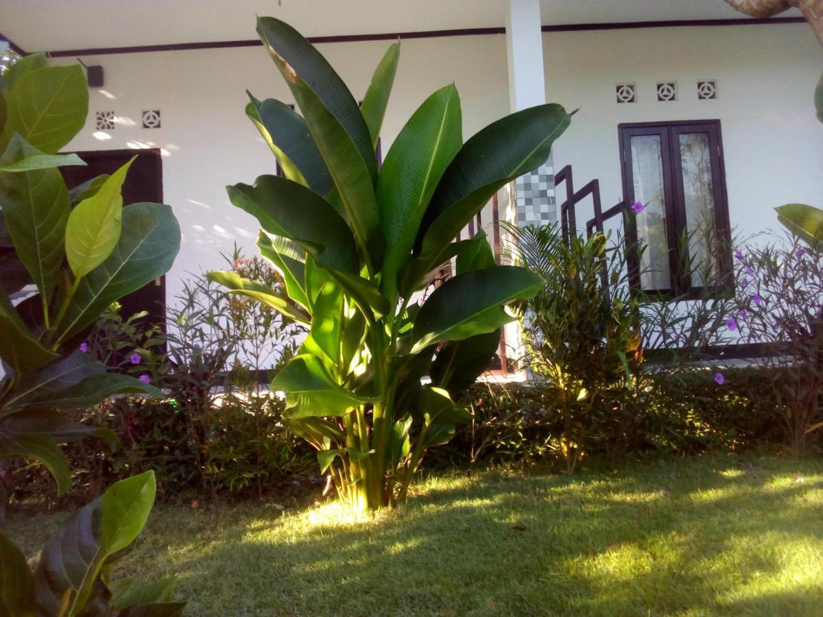 Ariata Arya Hostel Kuta (Lombok) Exterior foto