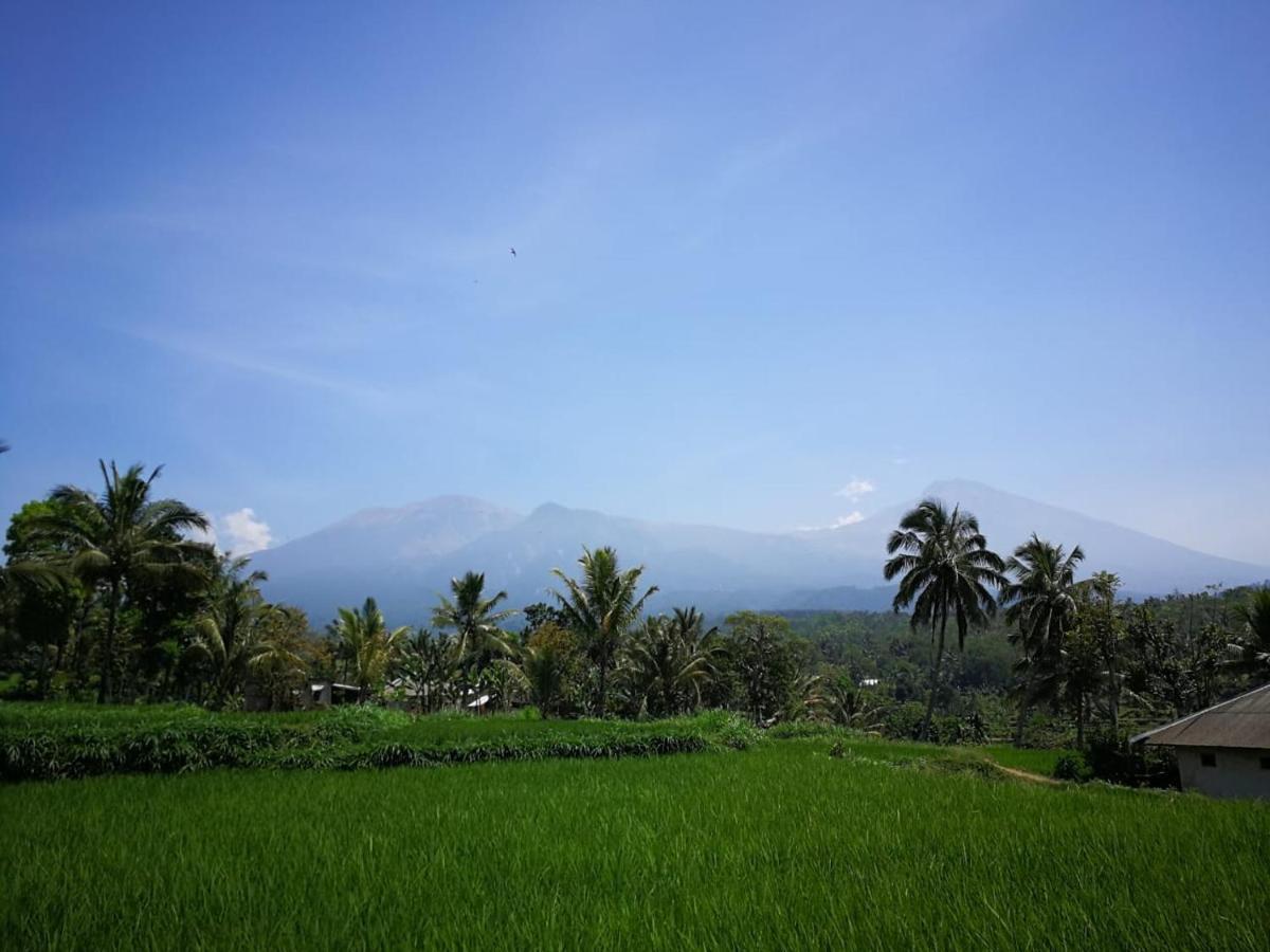 Ariata Arya Hostel Kuta (Lombok) Exterior foto